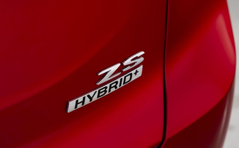 Chinesische Autos in Europa: Wer kauft und warum?