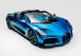 Bugatti veredelt eine einzigartige W16 Mistral mit Naturmotiv