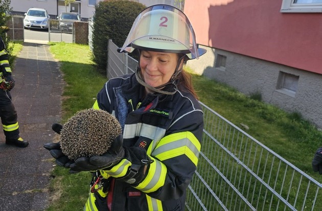 Feuerwehr Celle befreit Igel aus Zaun: kleiner Einsatz mit schnellem Ende