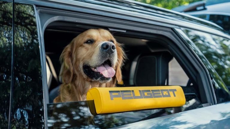 Peugeot E-5008 Dog Edition: Wenn der Hund König ist